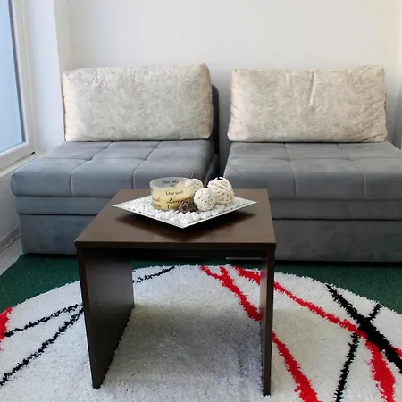 Apartman Grbavica Apartment